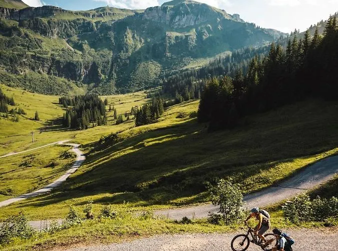 Apartment Gabriela Mellau