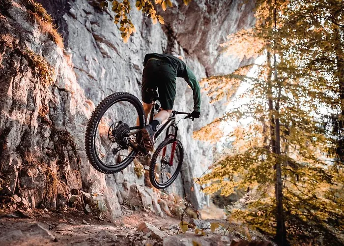 Apartment Gabriela *